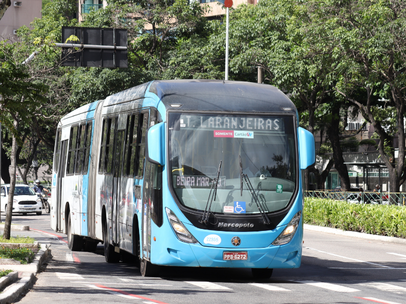 Mês do Meio Ambiente: saiba por que o ônibus é um transporte sustentável -  GVBus
