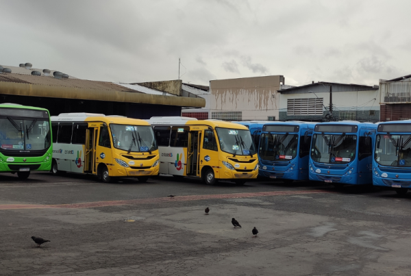 Além dos modelos convencionais, também chegaram dois novos micro-ônibus do Transcol e um veículo modelo híbrido. Todos com ar-condicionado